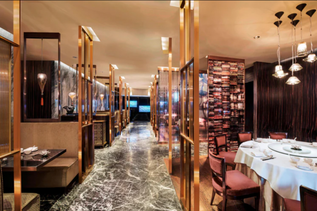 What Can You Gain From a Stylish Stay at W Hong Kong