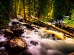 Colorado Stream Creek Water Landscape Forest