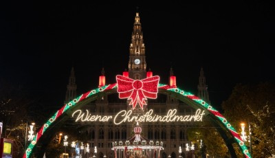 What to Expect When You Visit the Vienna Christmas Market