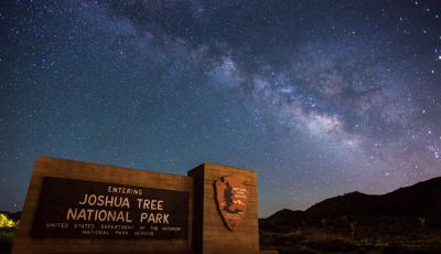 What to Expect at Joshua Tree's Annual Night Sky Festival