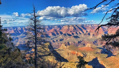 Grand Canyon National Park Visitor Dies Amidst Brutal Heat