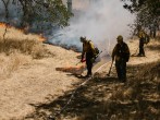 California Wildfires Threaten Famous Wildflower Reserve Near Oroville