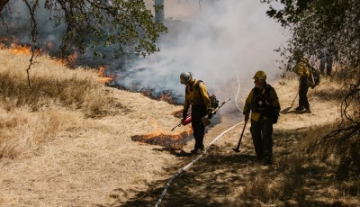 California Wildfires Threaten Famous Wildflower Reserve Near Oroville