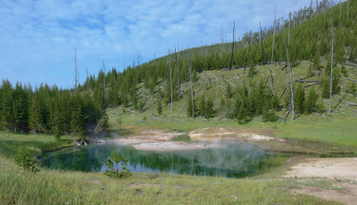 SUV Incident at Yellowstone National Park as Five Escape Acidic Waters